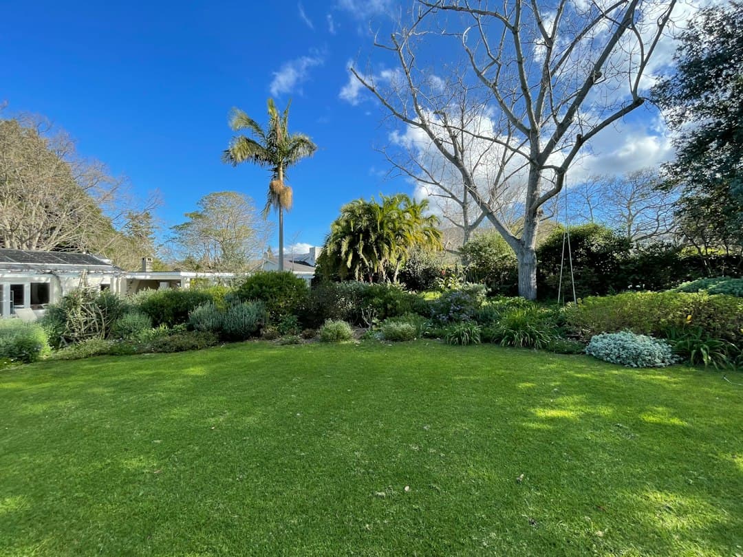 Autumn Lawn Renovation in Cyprus: How to Overseed and Repair Grass in September — Expert guide by Green Planet Gardening Cyprus