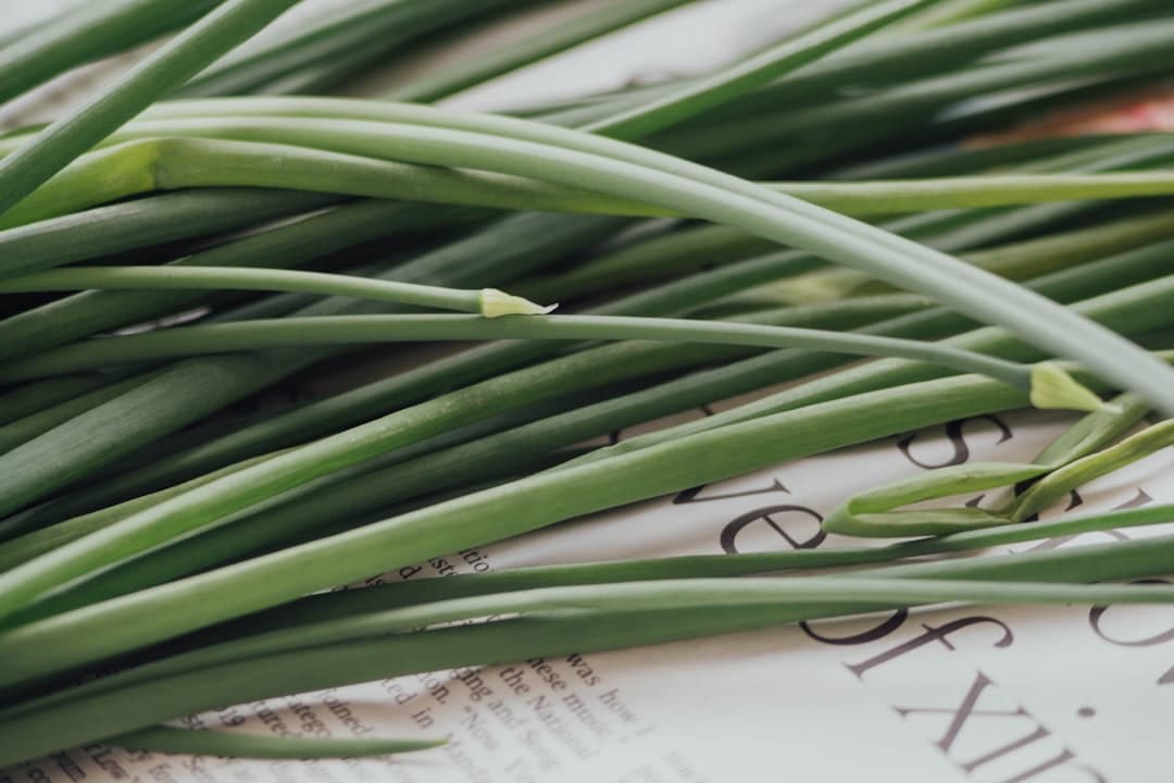 Best Mosquito-Repelling Plants for Cyprus Gardens: Natural Pest Control Guide — Expert guide by Green Planet Gardening Cyprus