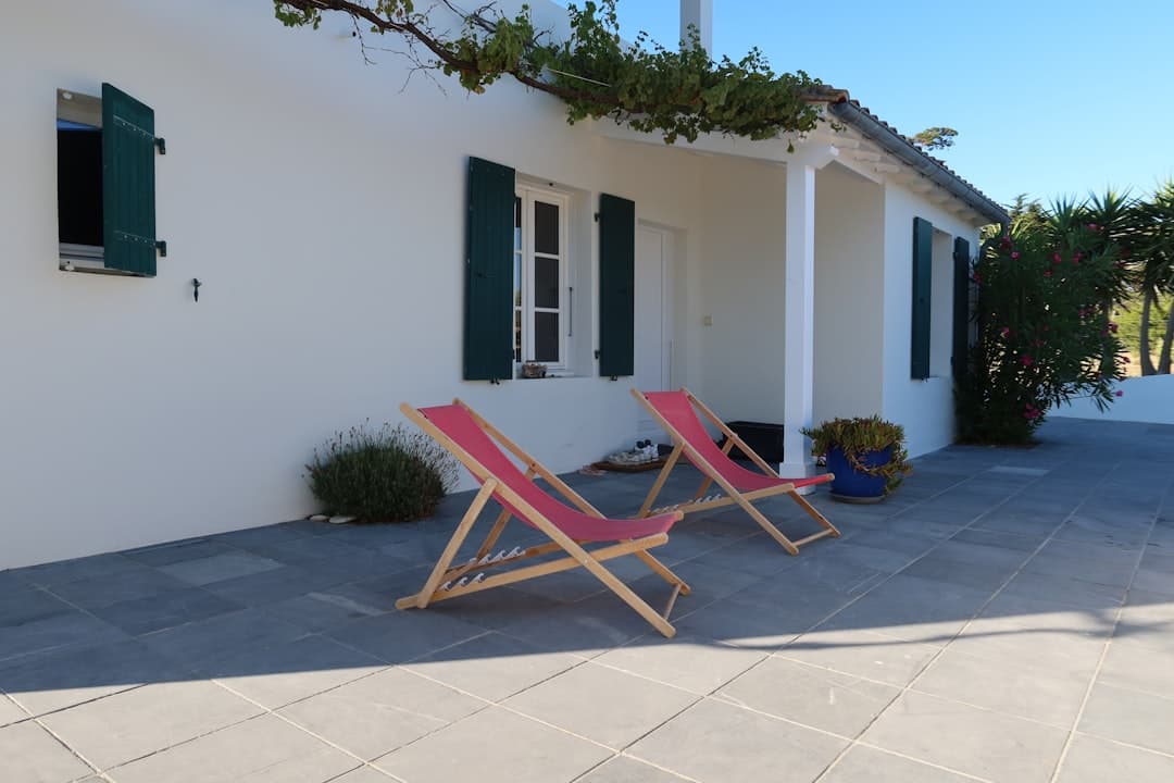 Best Outdoor Living Plants for Cyprus Patios and Terraces 2026 — Expert guide by Green Planet Gardening Cyprus