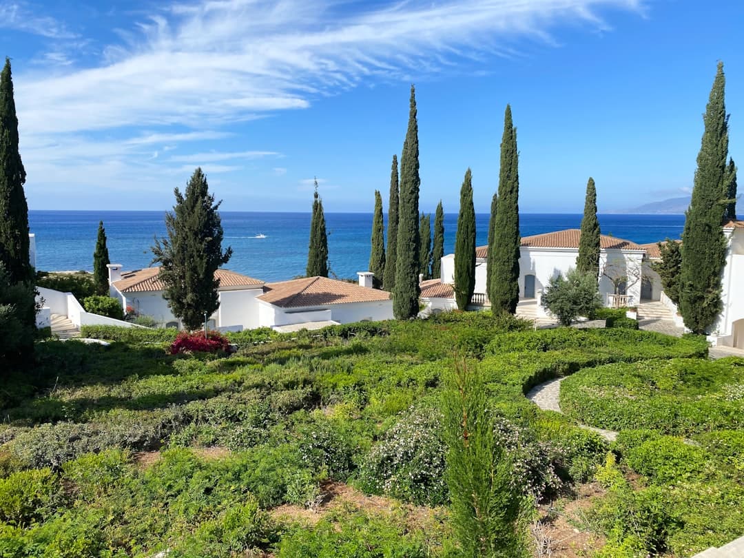 Best Shade Trees for Cyprus Gardens That Grow Fast — Expert guide by Green Planet Gardening Cyprus