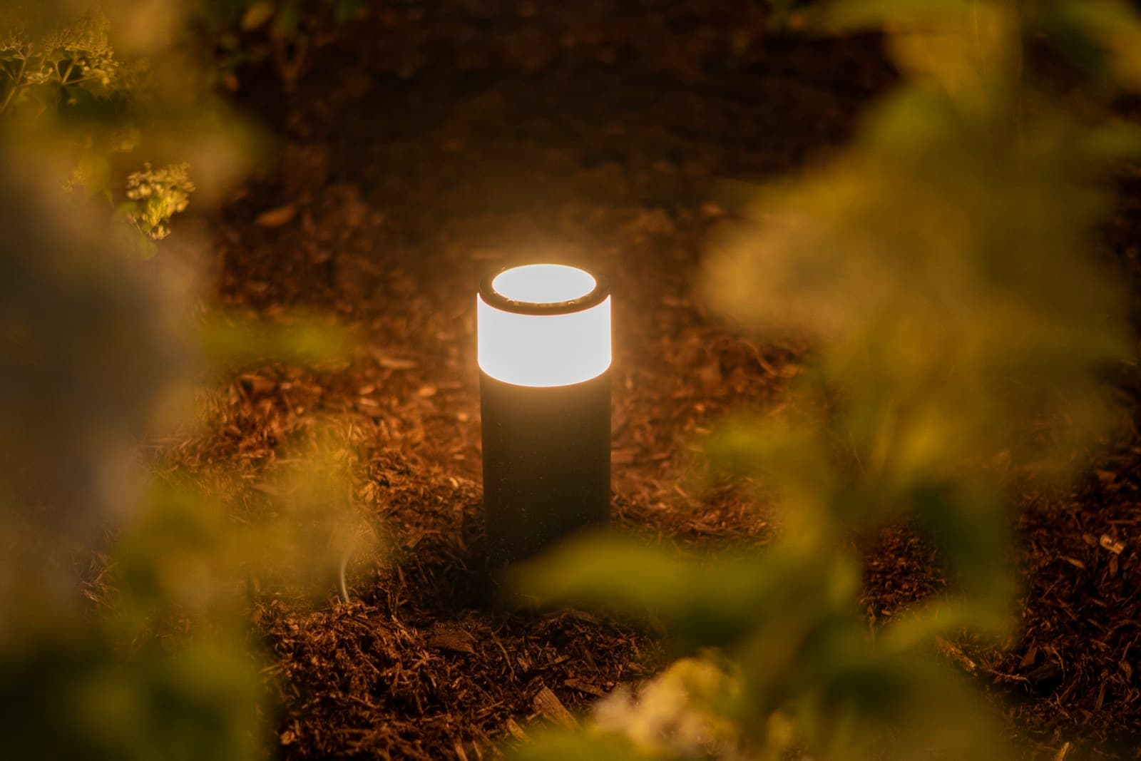 Warm bollard light glowing on a dark garden path between planting at night