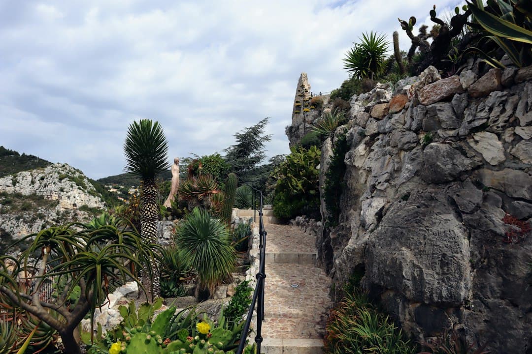 How to Plant a Cyprus Rock Garden: Complete Autumn Design Guide for Dry Slopes — Expert guide by Green Planet Gardening Cyprus