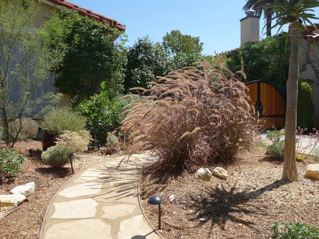 How to Repair a Heat-Damaged Lawn in Cyprus After Summer — Expert guide by Green Planet Gardening Cyprus