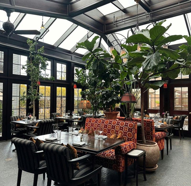 Cosy winter garden with warm lighting, evergreen plants and comfortable outdoor seating