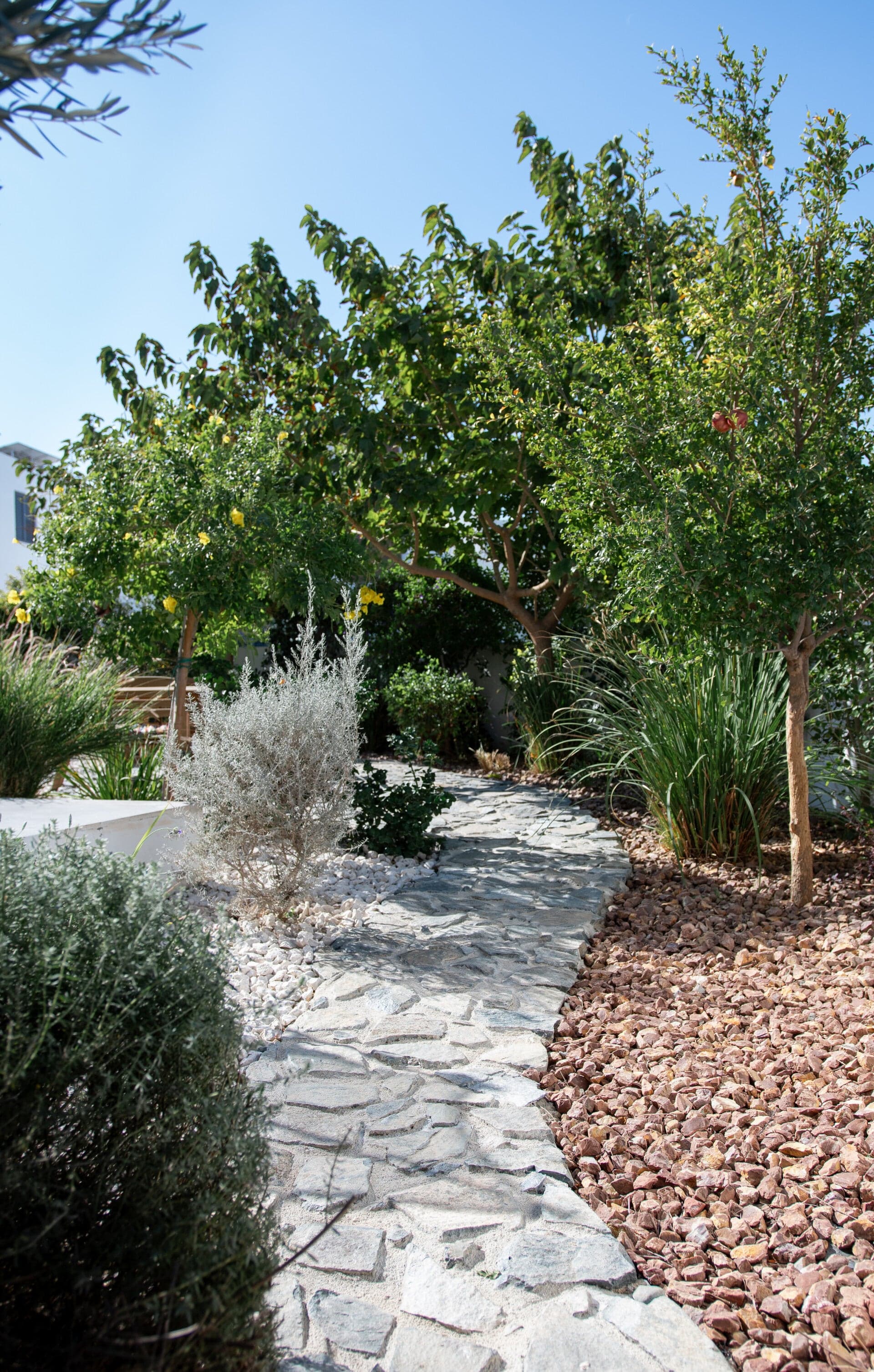 Mediterranean garden design with natural stone pathways and drought-resistant plants