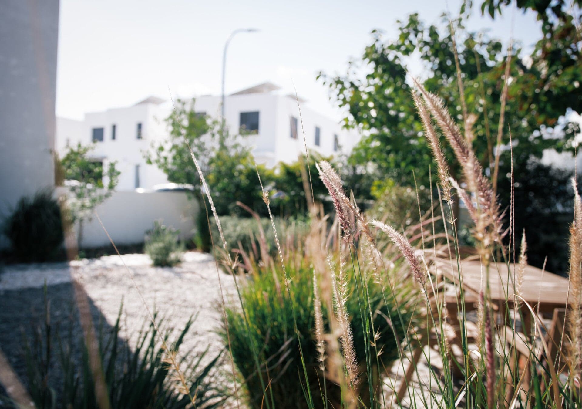 Green terrace garden overlooking Mediterranean landscape in Cyprus