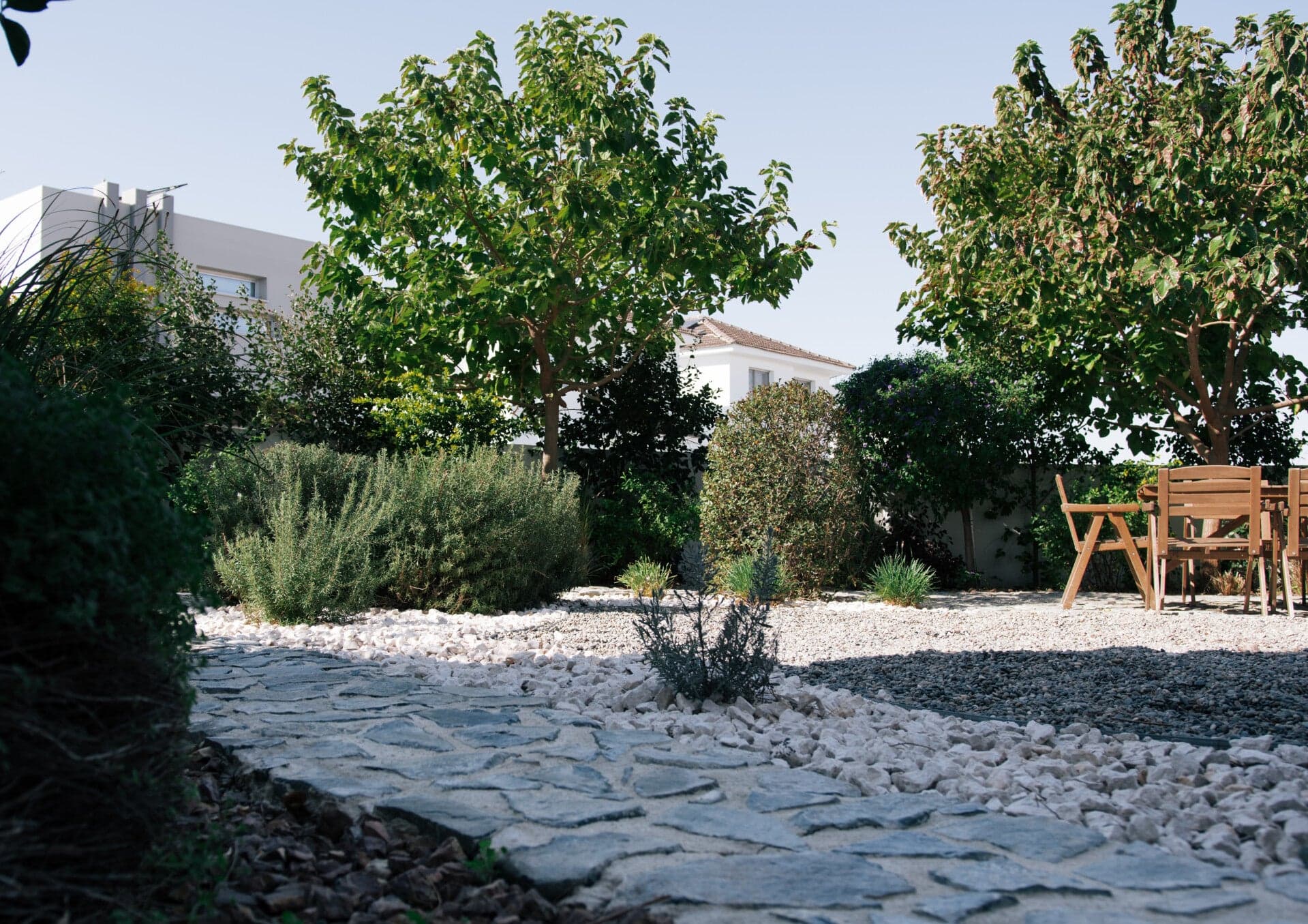 Detail of curated garden planting with Mediterranean perennials