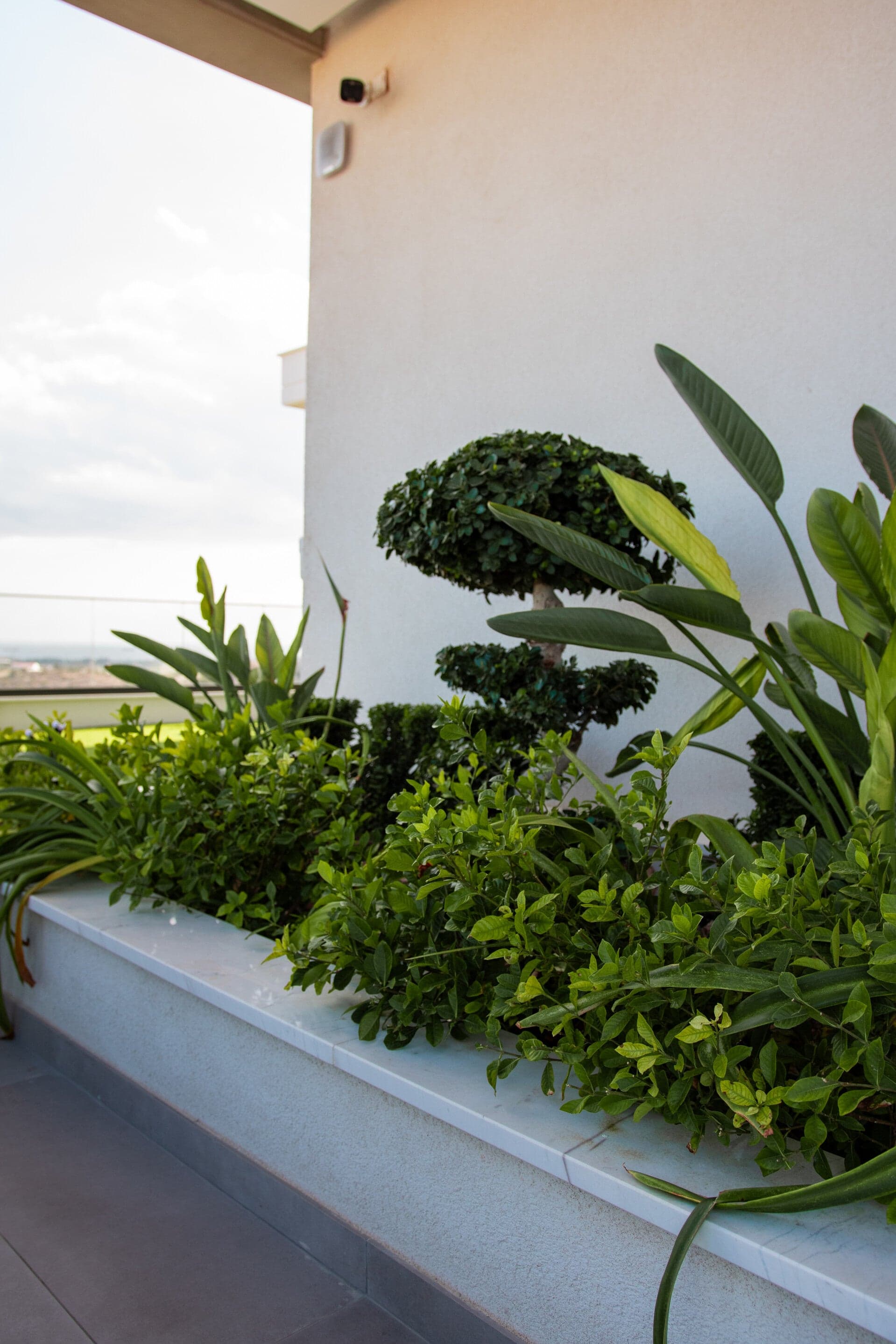 Panoramic view of luxury villa garden with sea views in Cyprus