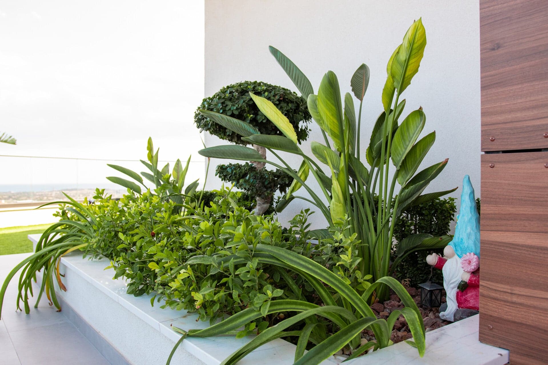 Sculpted greenery and tropical plants on luxury terrace overlooking Mediterranean