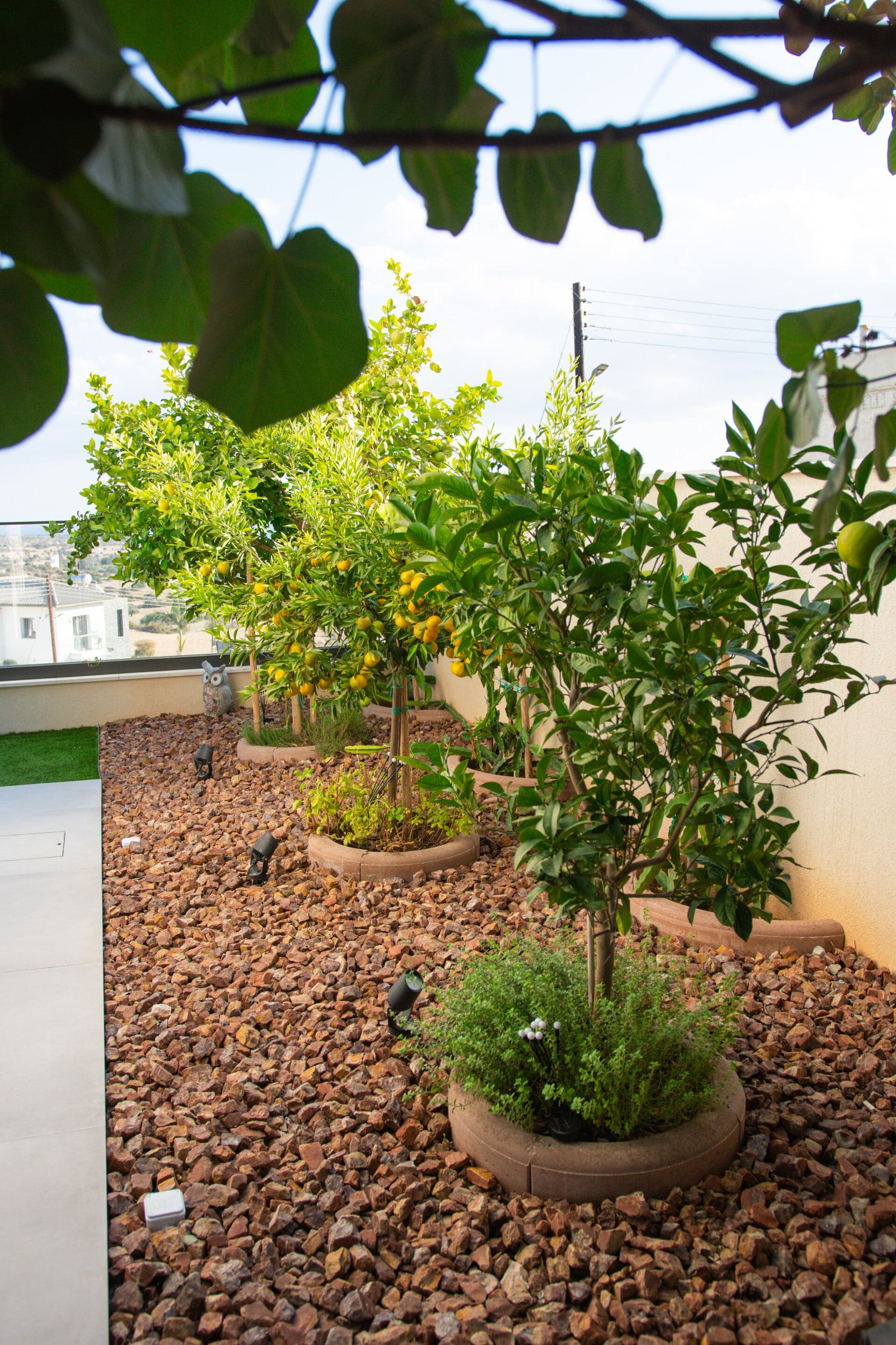 Detailed garden design featuring curated Mediterranean plant selection