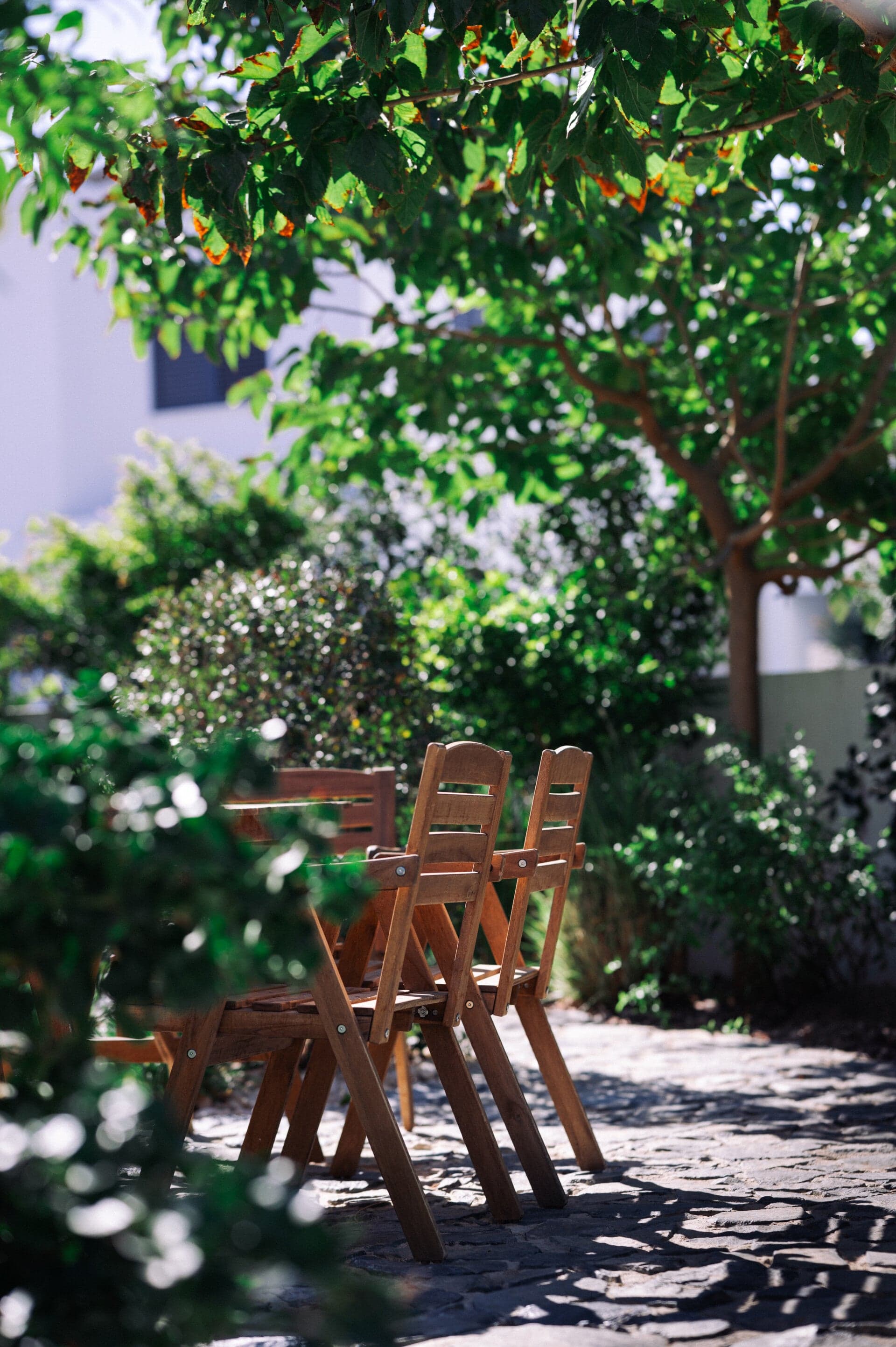 Completed luxury garden project with integrated lighting and planting