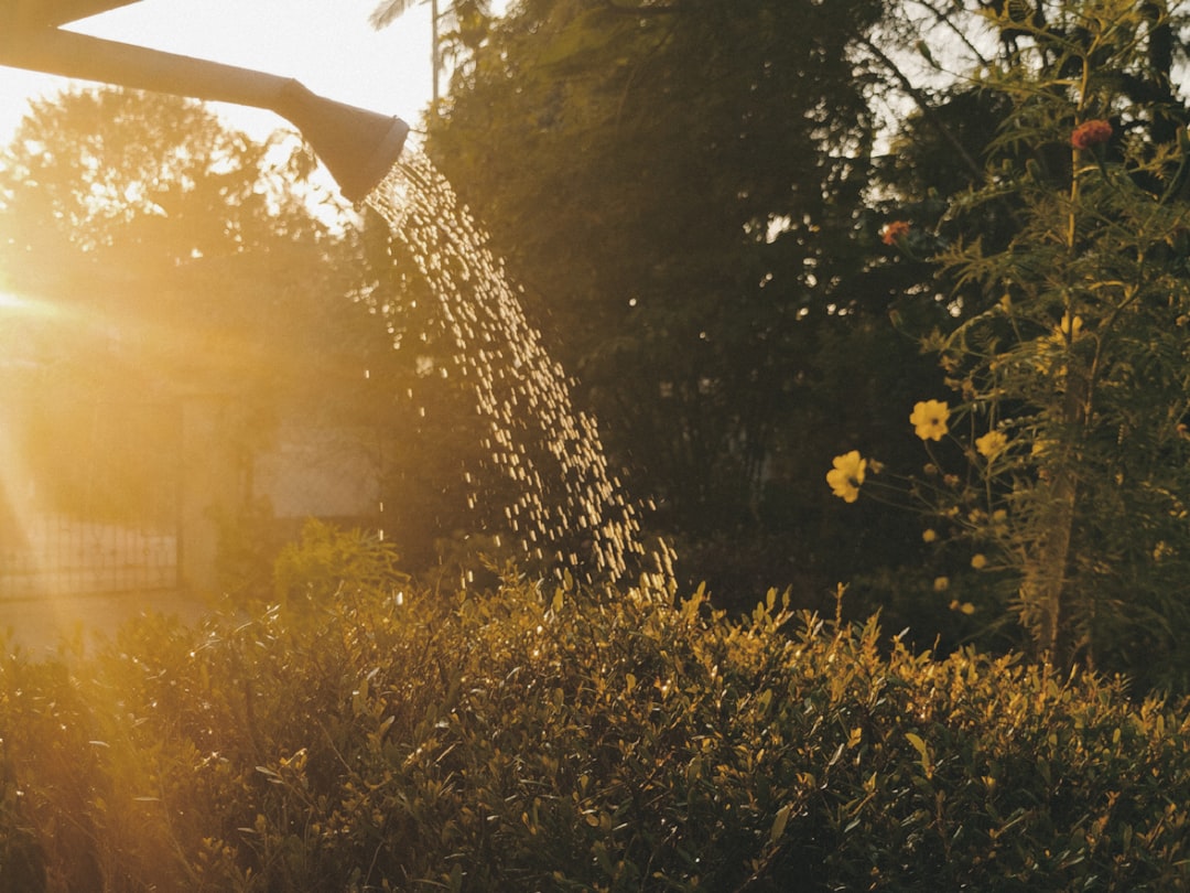 Best Time to Water Plants in Cyprus Summer: The Definitive Watering Schedule — Expert guide by Green Planet Gardening Cyprus