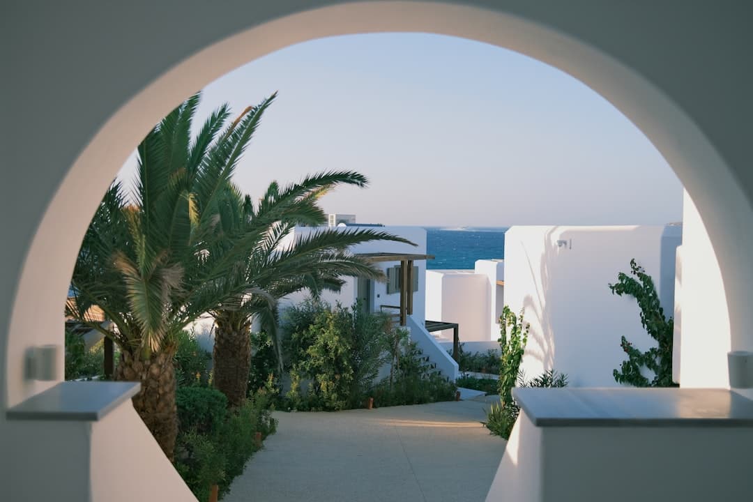 How to Plan Your Cyprus Garden Renovation Before Autumn Planting Season — Expert guide by Green Planet Gardening Cyprus