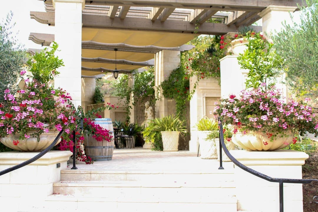 How to Plant Wisteria in Cyprus: Autumn Planting and Training Guide for Pergolas — Expert guide by Green Planet Gardening Cyprus