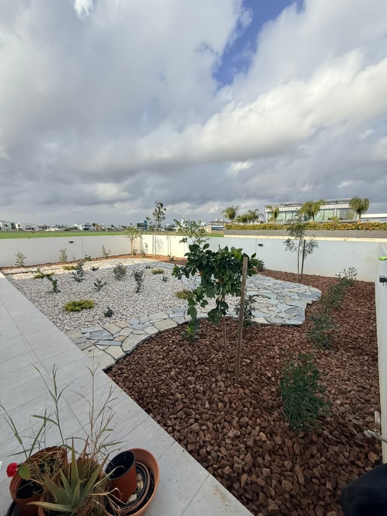 Modern Cyprus rooftop garden featuring young trees in volcanic rock mulch, natural stone pathways, and contemporary planters under dramatic cloudy skies.