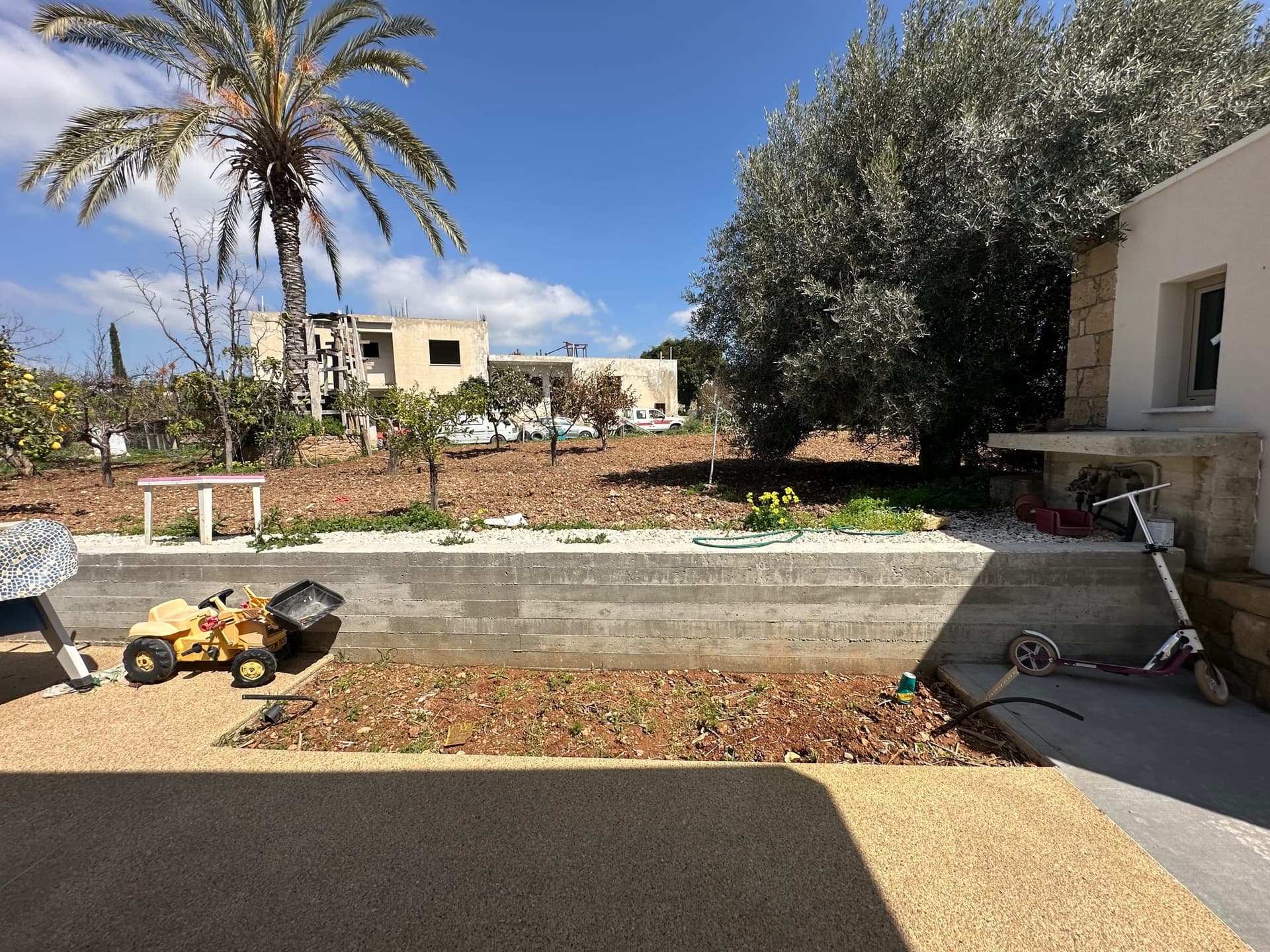 Landscaped garden with concrete retaining walls, gravel pathways, young olive and palm trees, and modern stone buildings under blue sky.