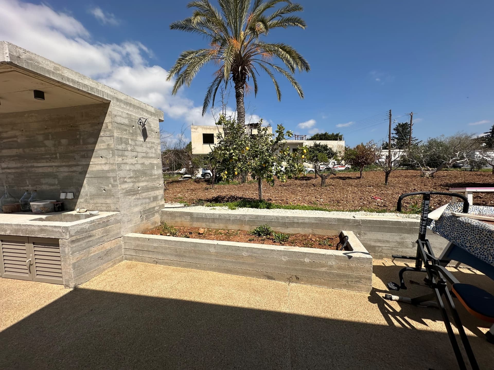 Modern concrete raised beds with drought-resistant planting and a mature date palm in a Mediterranean garden setting with sandy patio area.