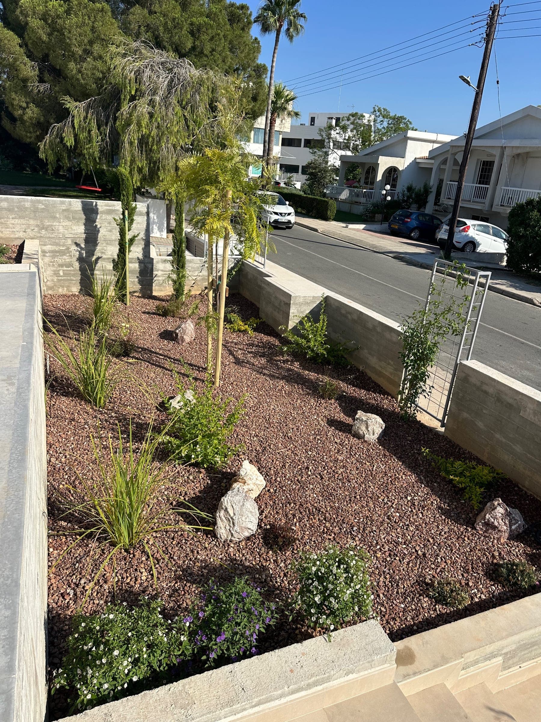 Mediterranean garden with weeping willow, palm trees, ornamental grasses, and flowering shrubs on reddish gravel with stone accents and concrete retaining walls.