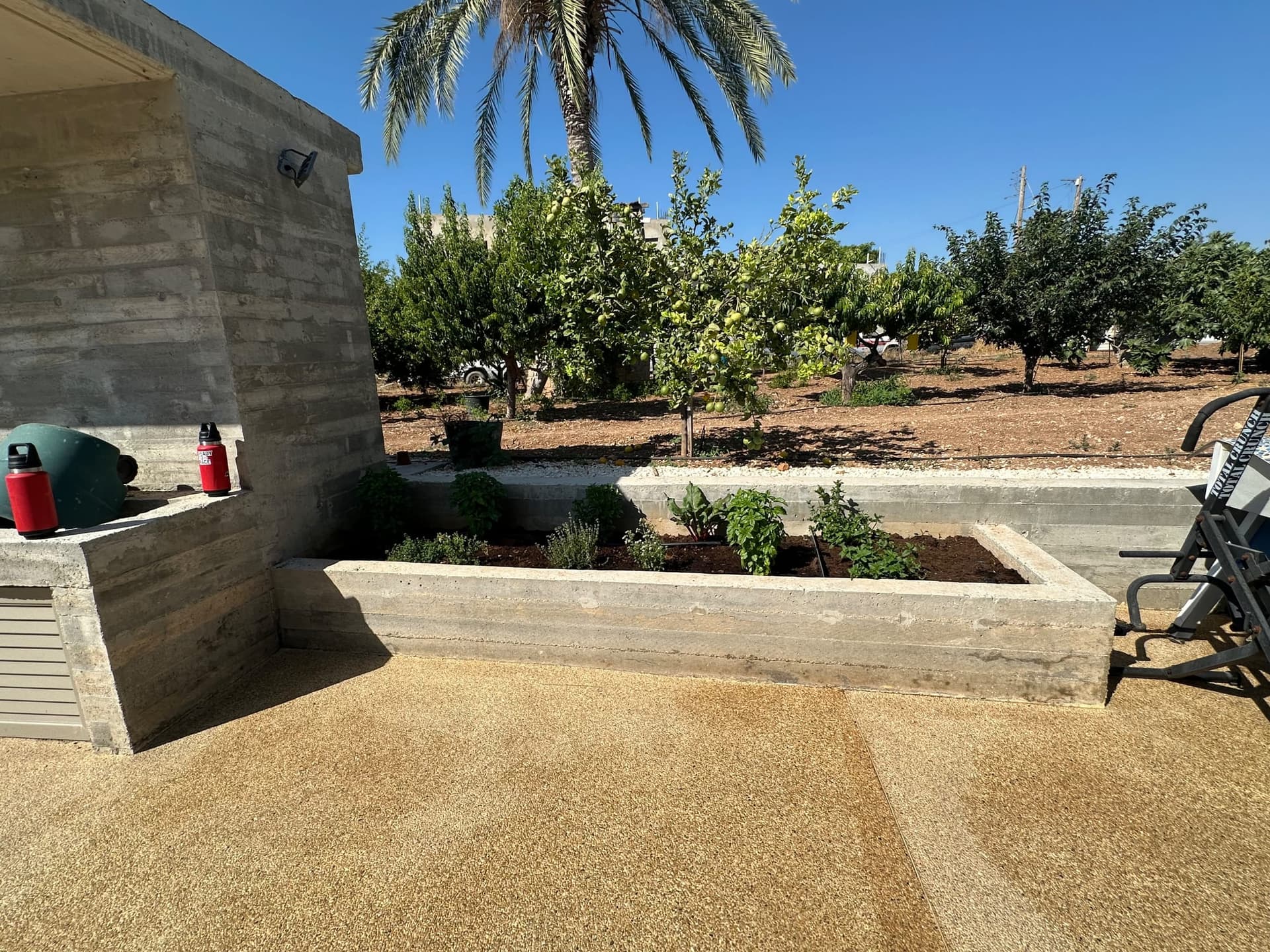 Raised concrete planter bed with shrubs beside a gravel patio, with fruit trees and palm tree visible in the background under clear sky.