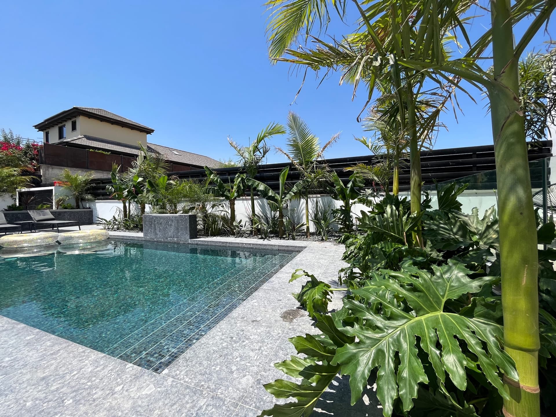 Modern pool garden with tropical palms, monstera plants, concrete patio, black pergola, and contemporary white house under clear blue sky.