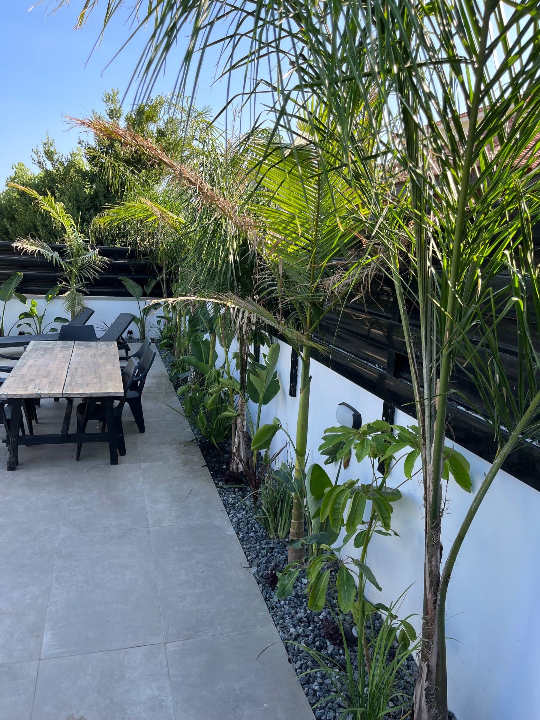 Modern patio with light gray paving, outdoor dining table, and lush tropical planting including tall ornamental grasses and palms along a dark water feature.