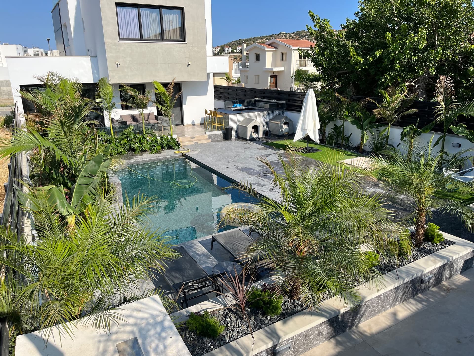 Modern pool courtyard with palm trees, stone paving, lounge chair, and white rendered walls surrounding the swimming pool.