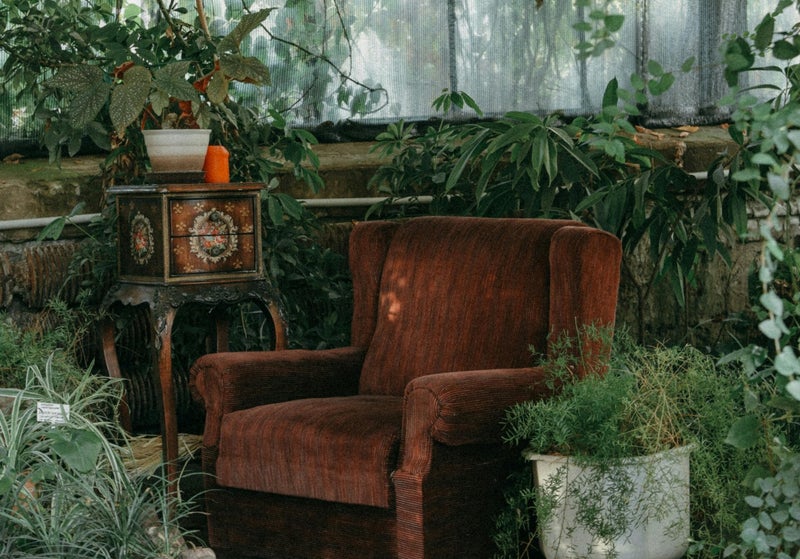 Small garden pond and water feature for wildlife and atmosphere